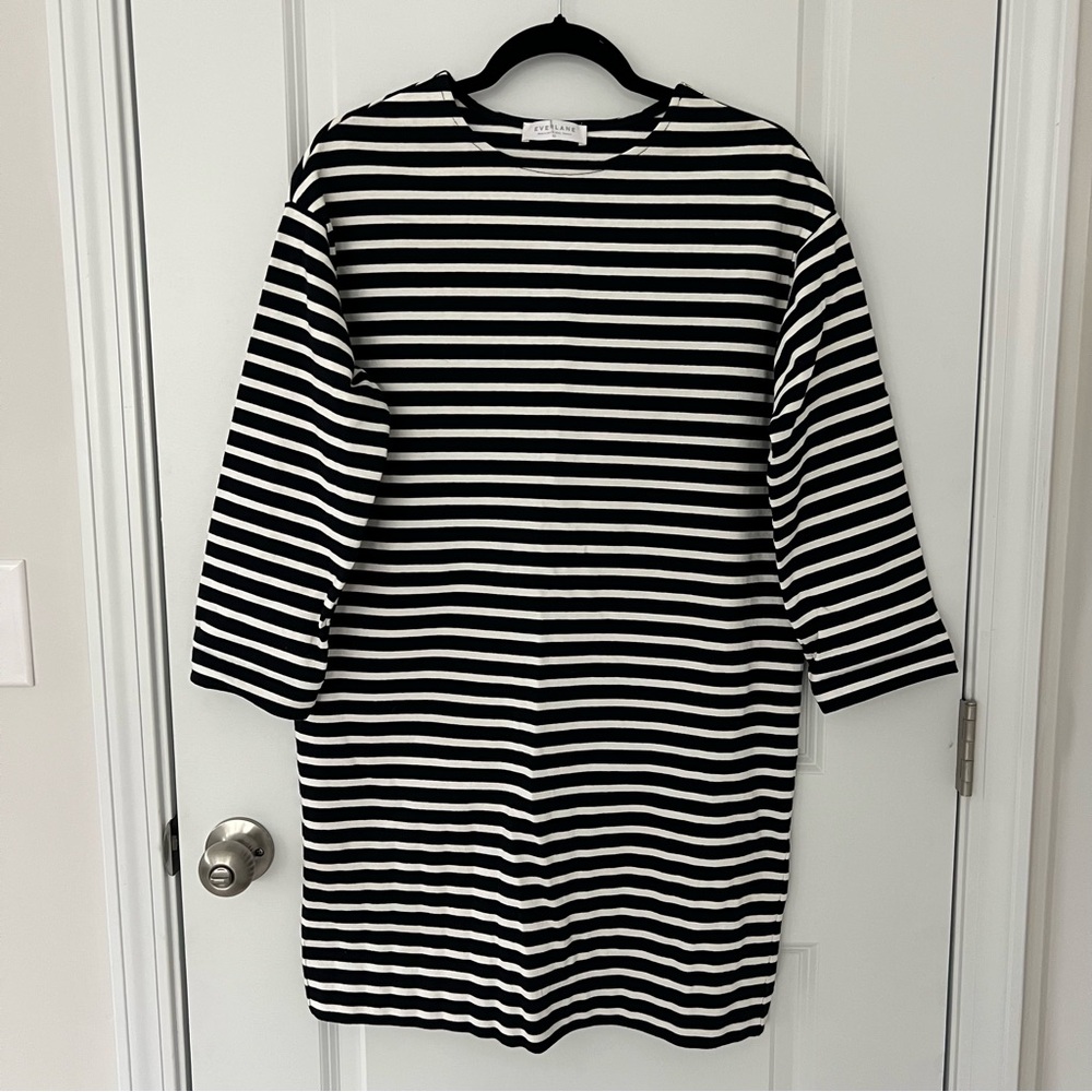 Everlane Brenton Cotton Dress